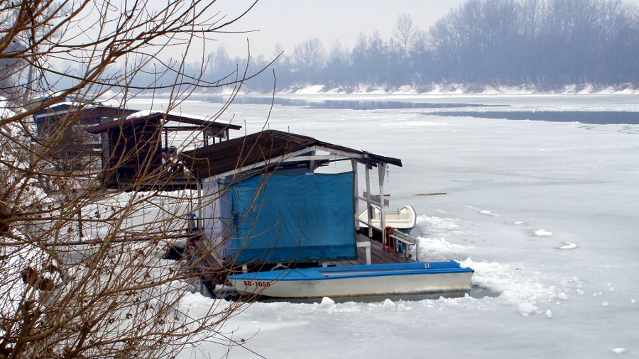 Zale�ena Sava 2012